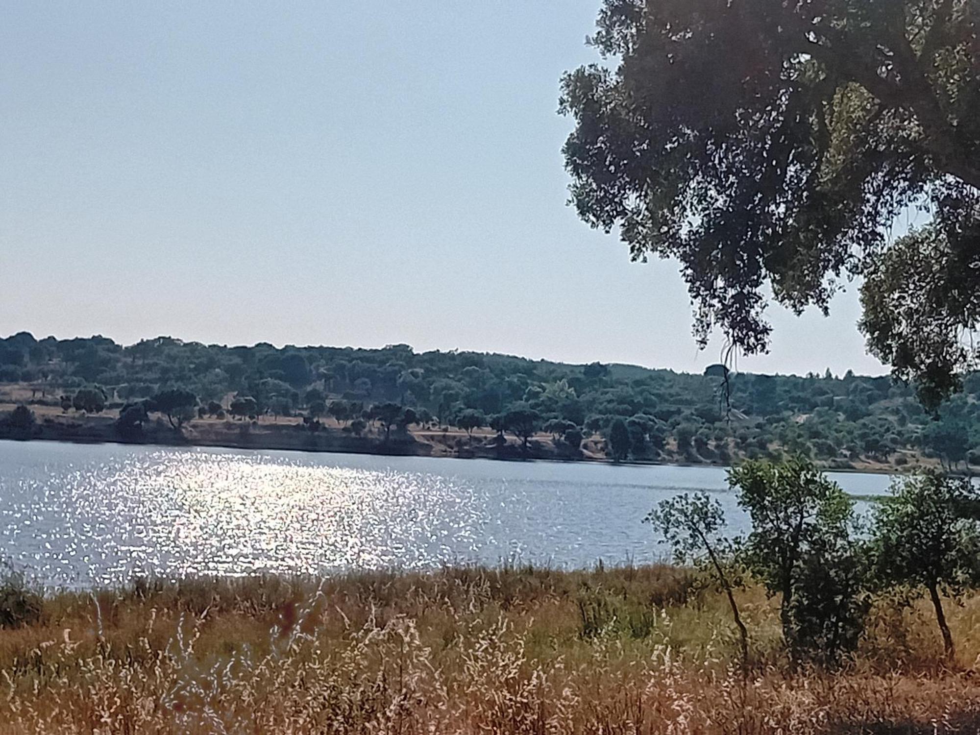 View House _